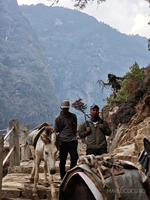 porter magar nepal